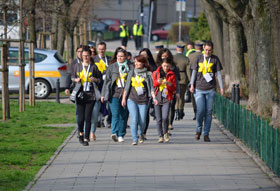 Daffodil volunteers.jpg