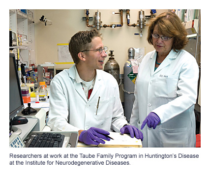 Researchers at work at the Taube Family Program in Huntington’s Disease at the Institute for Neurodegenerative Diseases.